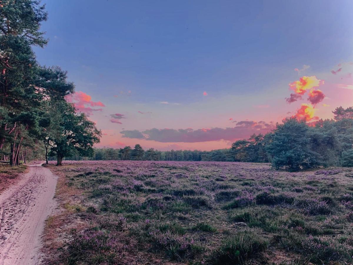 Rode Bosuil: Thuiskomen Op De Veluwe! Otterlo Buitenkant foto