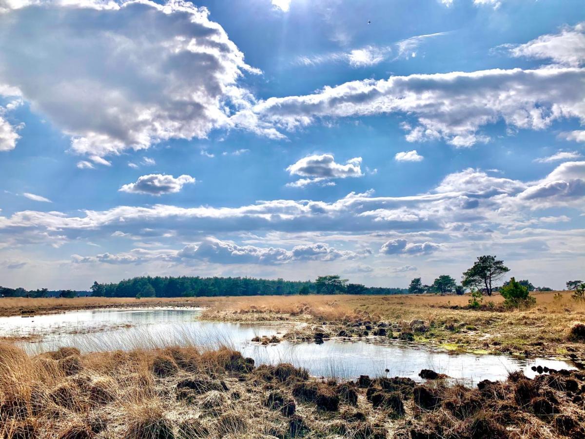 Rode Bosuil: Thuiskomen Op De Veluwe! Otterlo Buitenkant foto