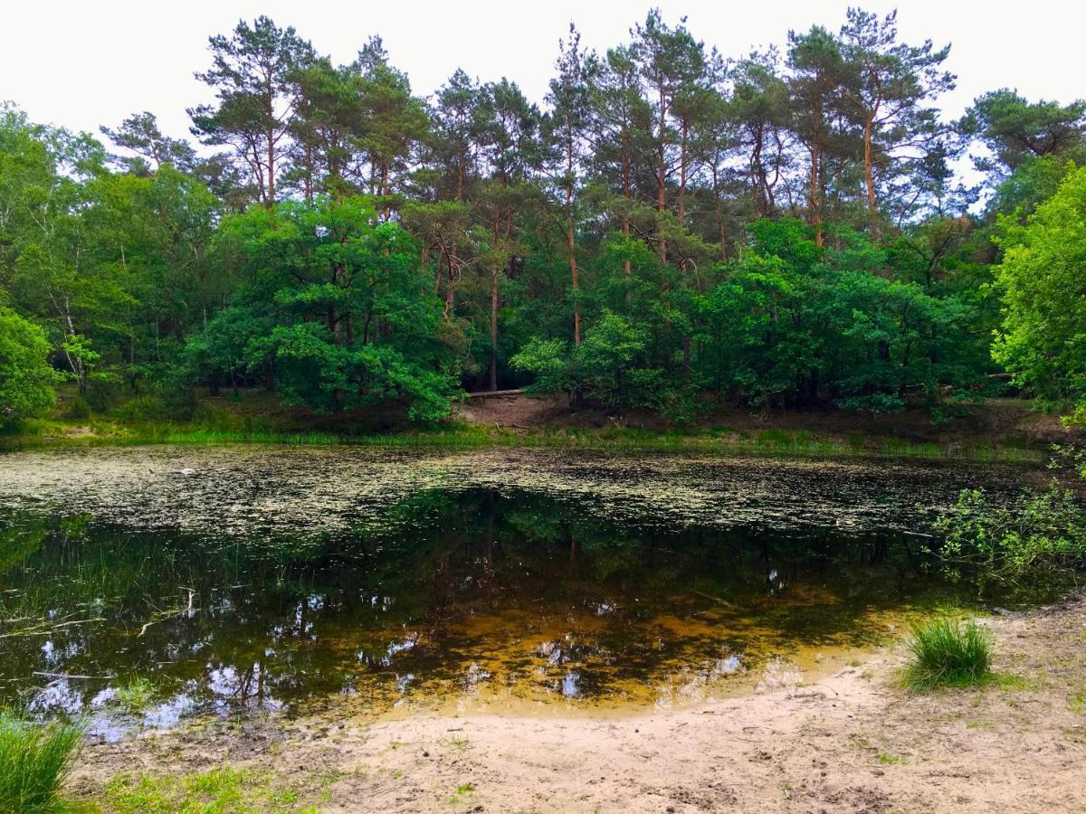 Rode Bosuil: Thuiskomen Op De Veluwe! Otterlo Buitenkant foto